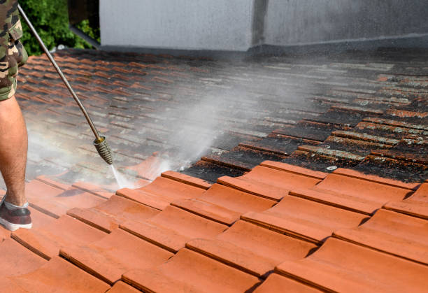 Best Affordable Power Washing  in Livingston, TX