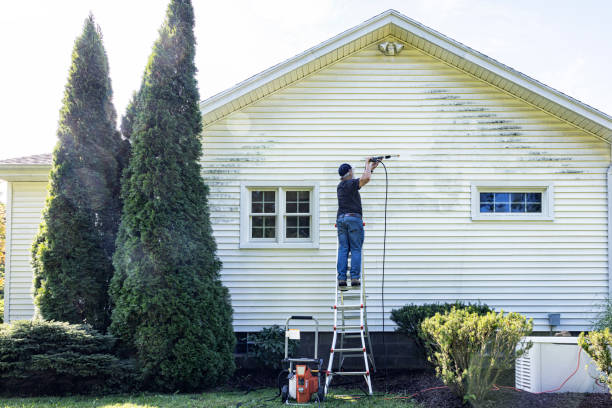 Best Exterior Home Cleaning  in Livingston, TX