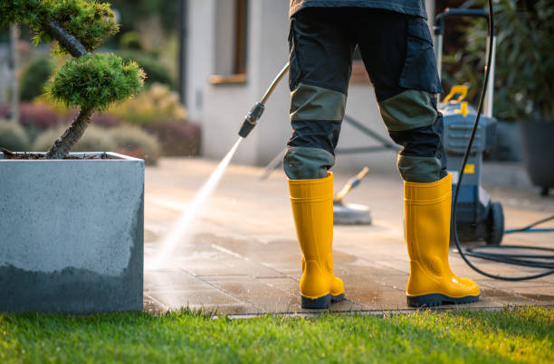 Best Deck Cleaning Services  in Livingston, TX